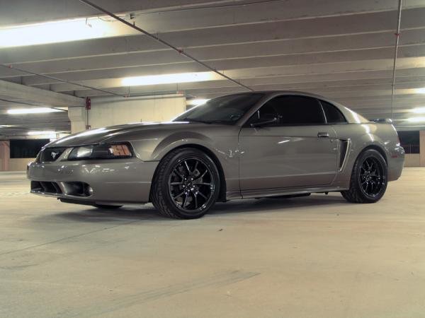 svtvenm-albums-03-04-mustang-cobra-termi_c44d4f681e73b5a2a986a6855d708b7dd0cf6d3f.jpg