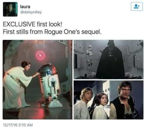 sw.jpg