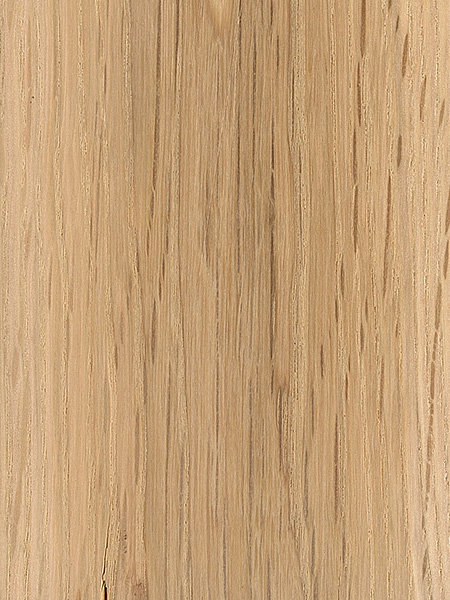 swamp-white-oak.jpg