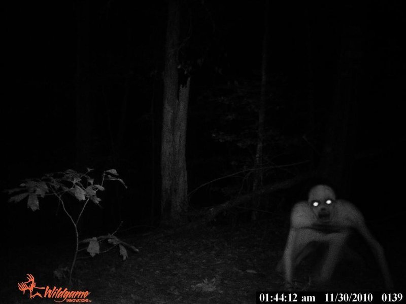 Swamp_Monster.jpg