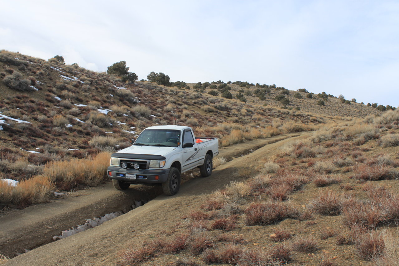 SwanseaCerroGordoTrail2018_p24.jpg