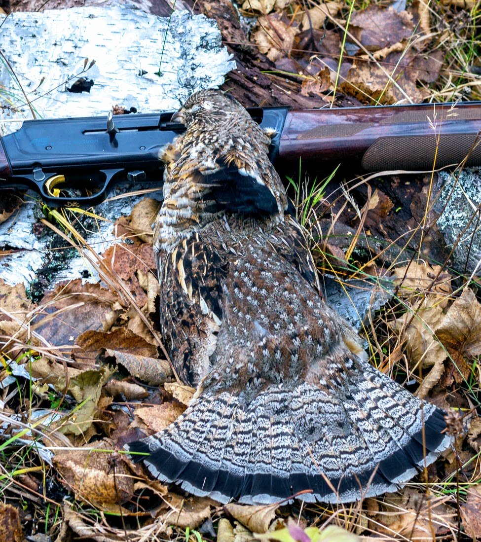 sweet16 grouse pentax Reel.jpg
