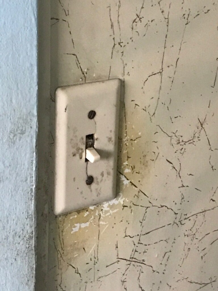 Switch.jpg