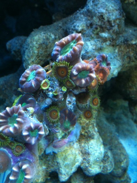 swtank8_zpsbfd31103_fa71f320d6e1efca0eb67c37b3fa5539dfb49cf8.jpg