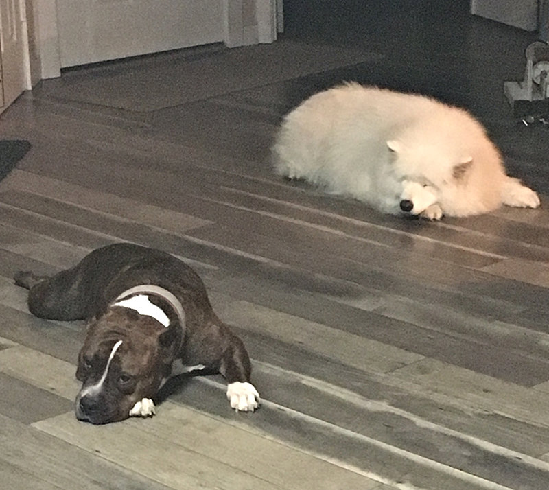 SynchronizedSleeping.jpg