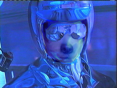 t1000.jpg