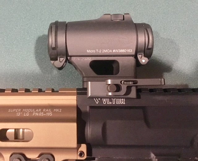T2 left.jpg