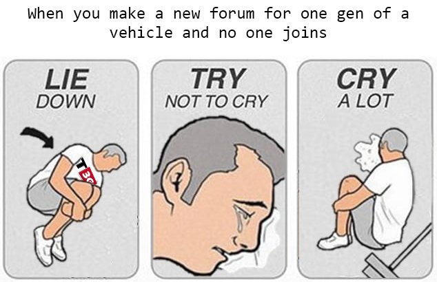 T3G.jpg