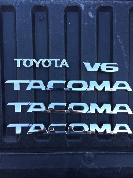 t5.jpg