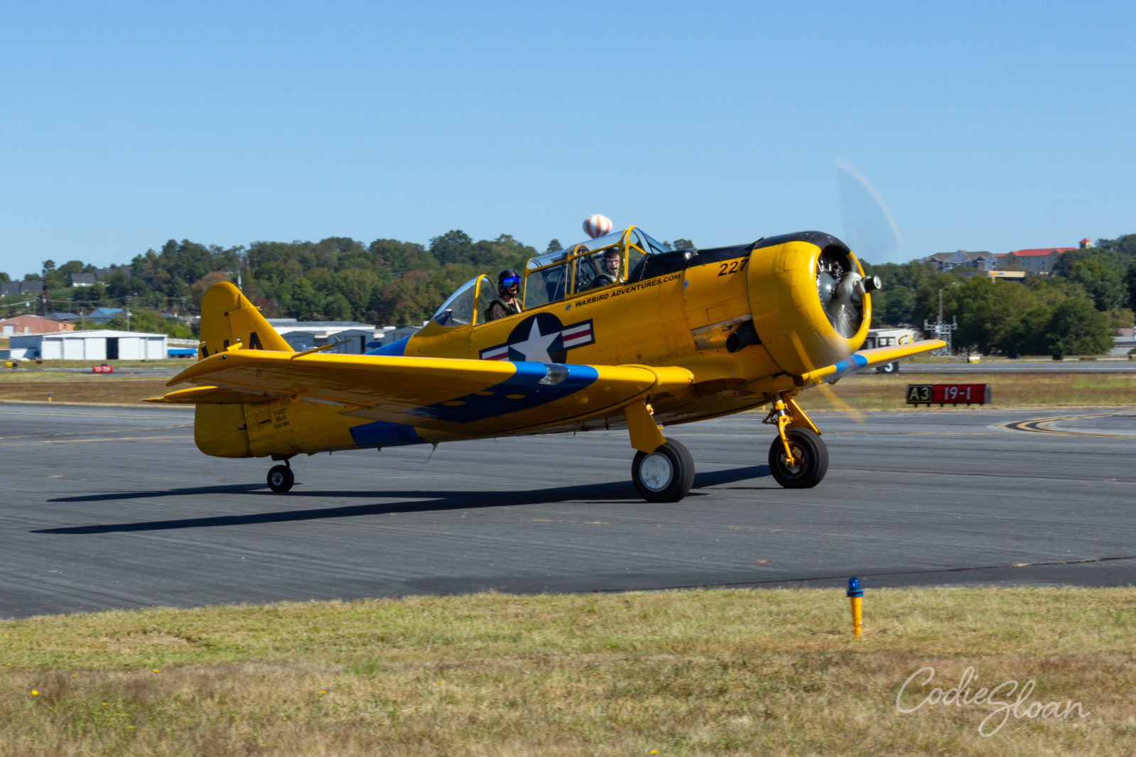 T6.jpg