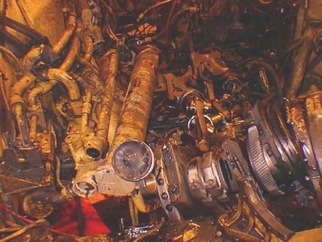 T7.jpg