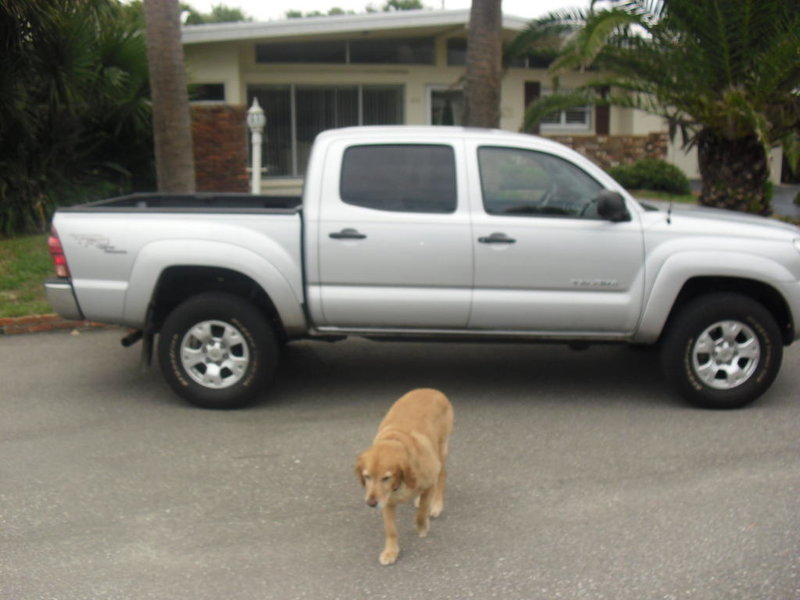 taco 002.jpg