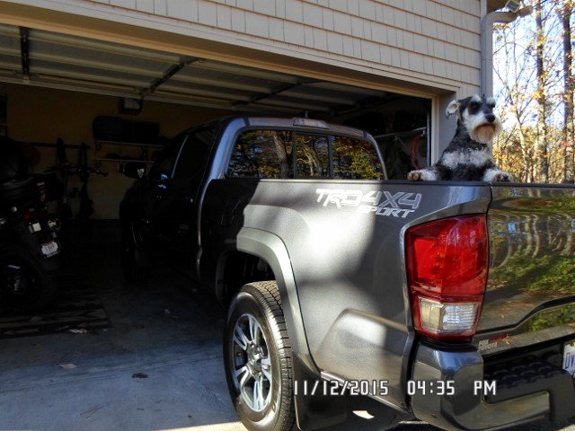 taco 004 (640x480).jpg