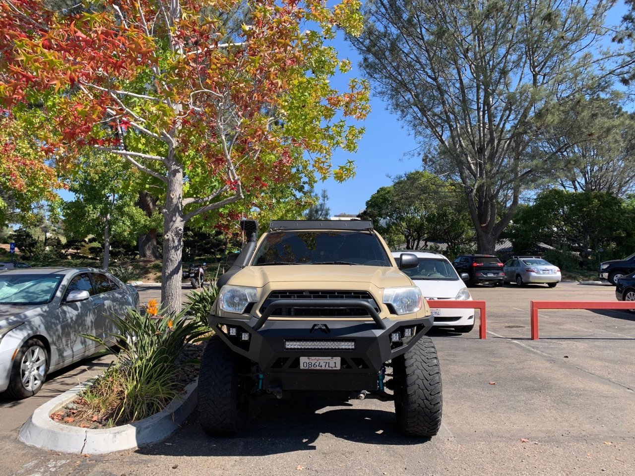 Taco 004.jpg