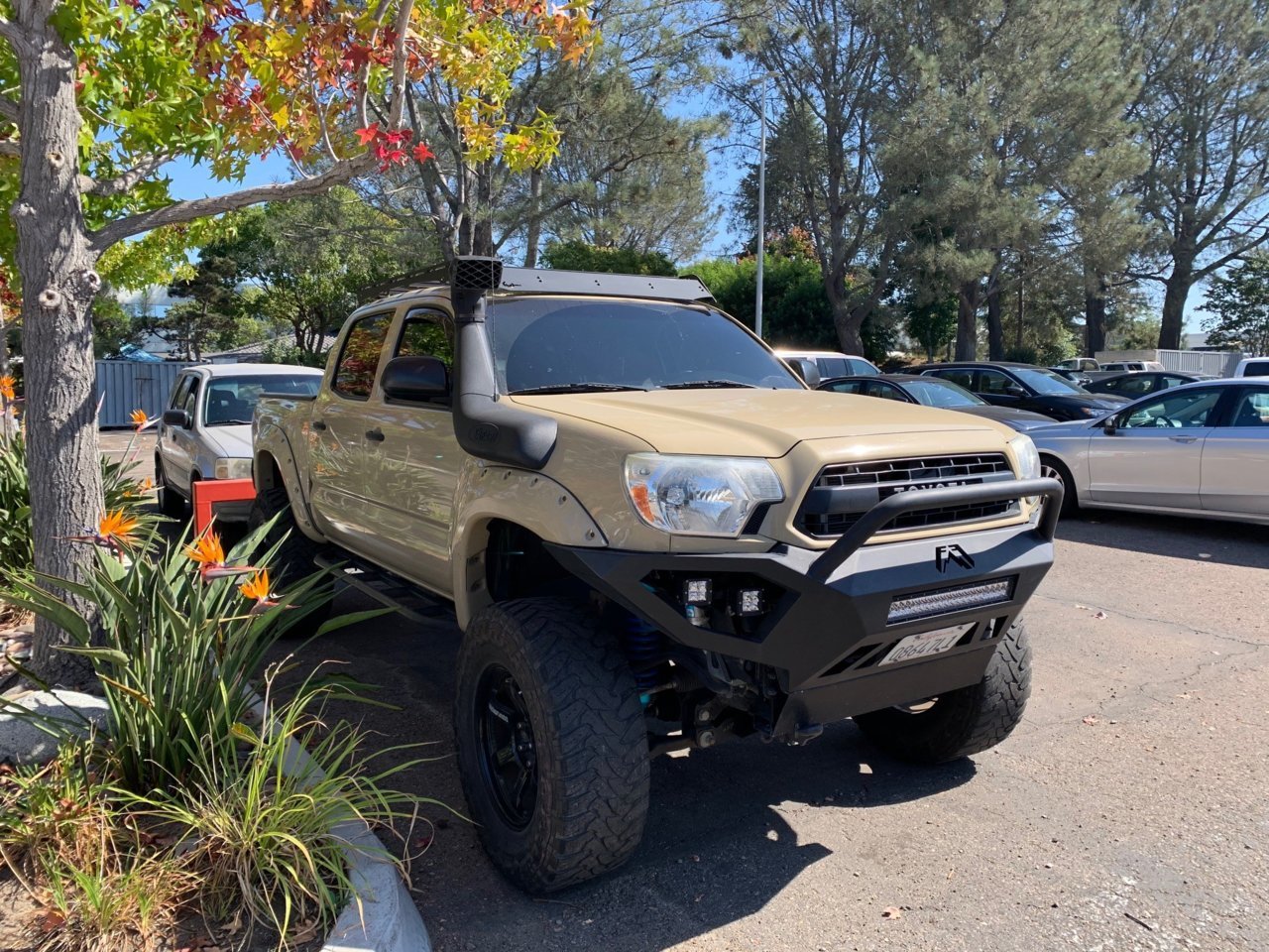 Taco 005.jpg