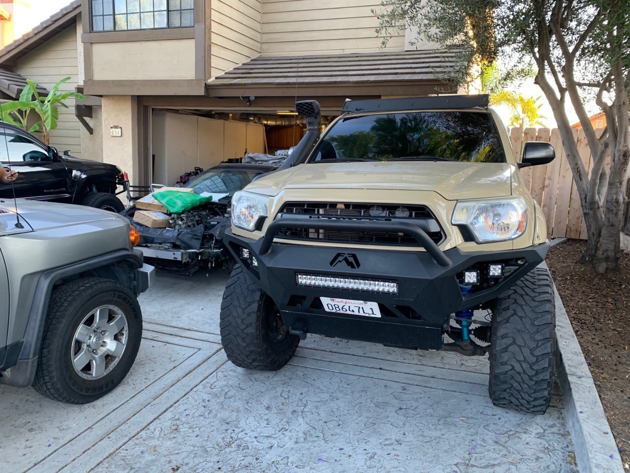 Taco 007.jpg