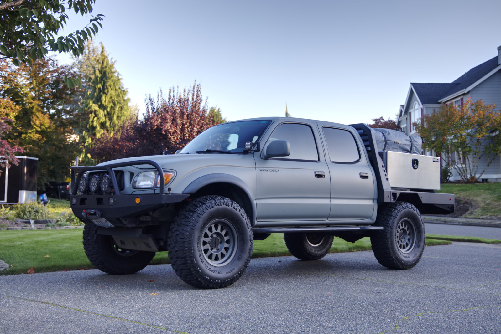 Taco-01.jpg