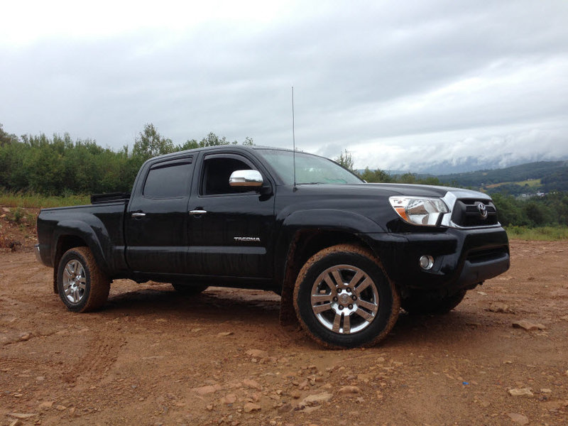 Taco-02 9-11.jpg