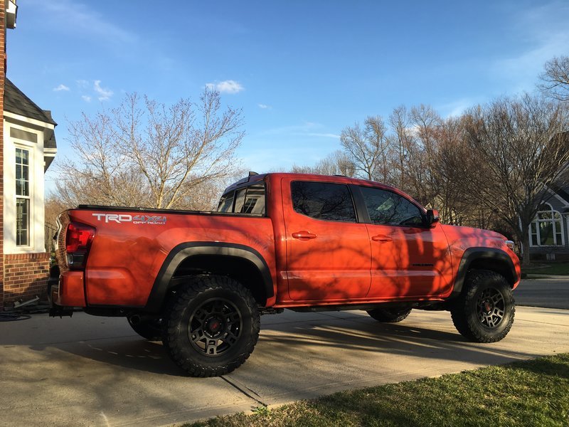 Taco.02.jpg