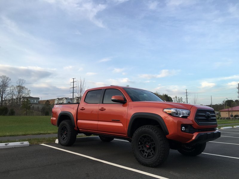 Taco.05.jpg