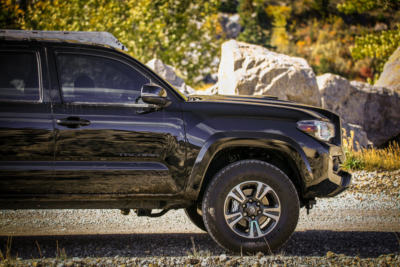 TACO 1 (1 of 1).jpg