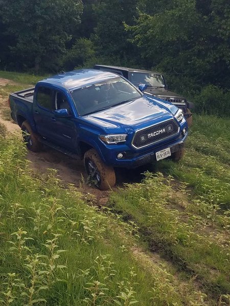 Taco 1.jpg