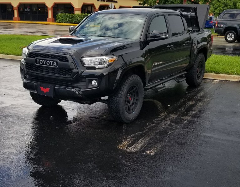 Taco 1.jpg