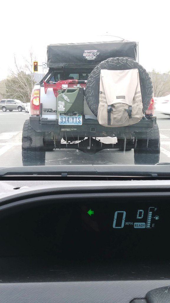 Taco-1.jpg