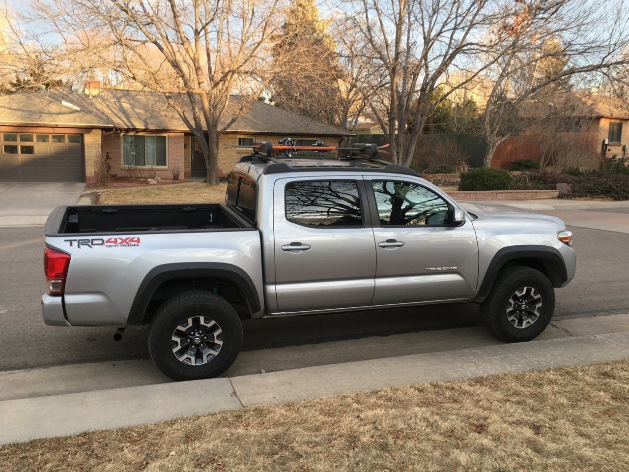 Taco 1.jpg