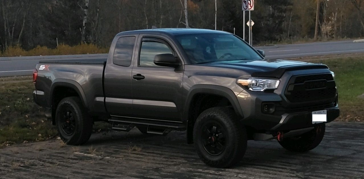 Taco 1.jpg