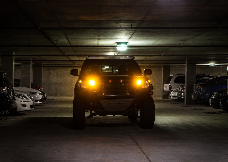 Taco (1 of 7).jpg