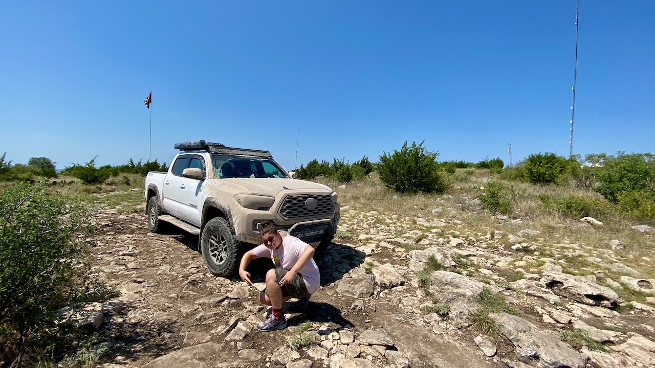 Taco - 1 of 8.jpg