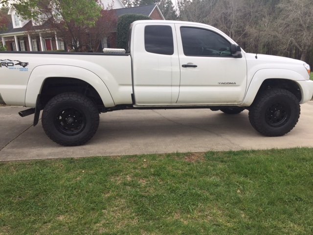#Taco #11.jpg