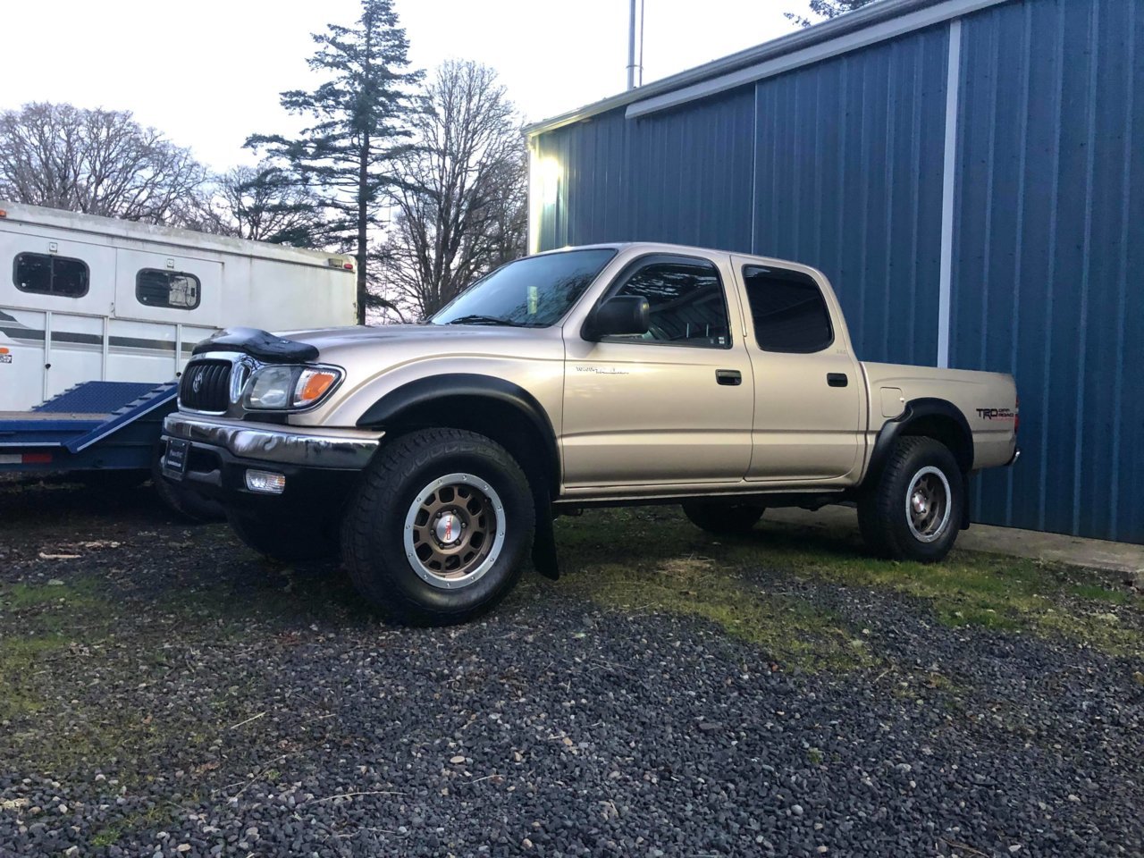 Taco 12.jpg