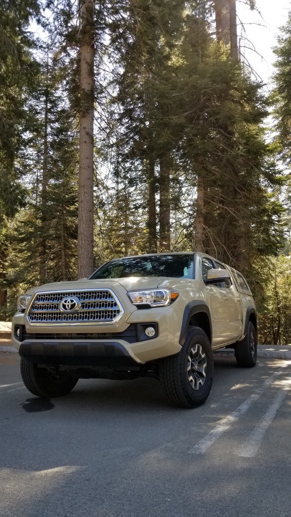 taco 17 sequoia .jpg
