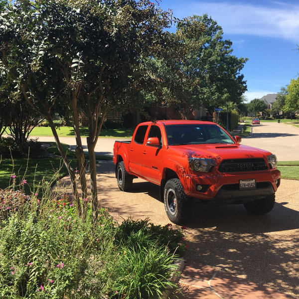 taco 2.jpg