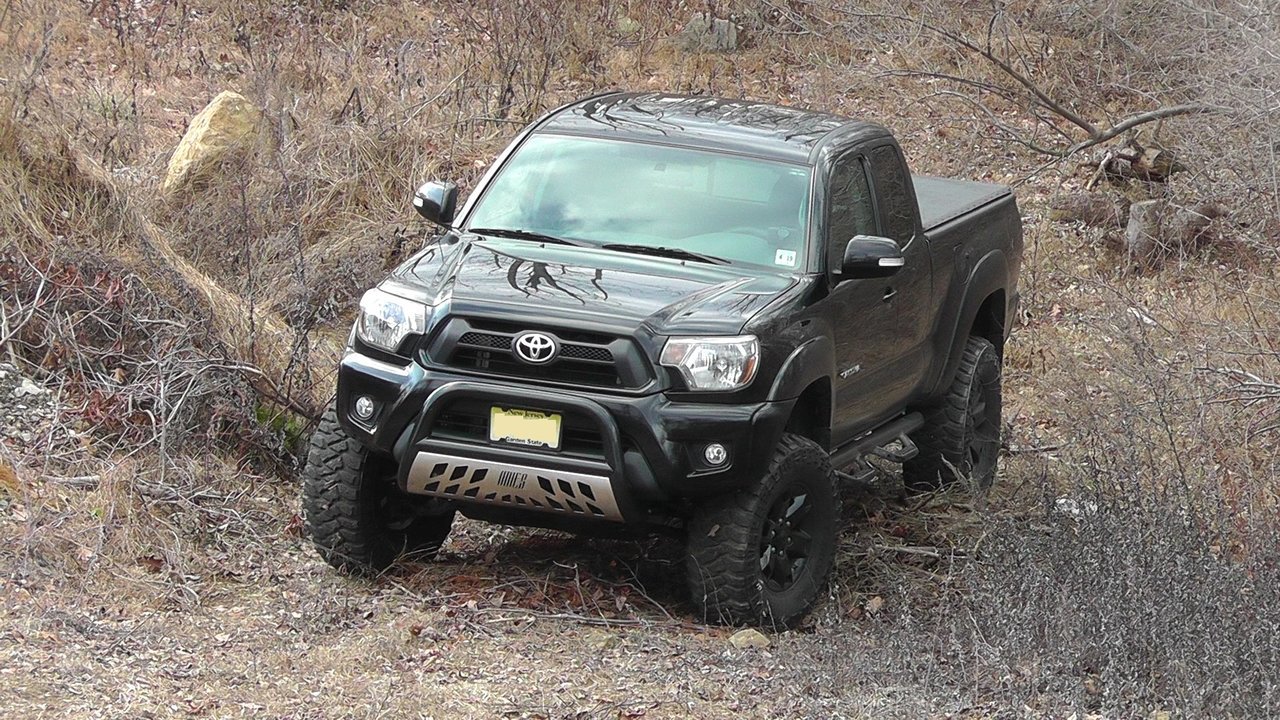 Taco (2).jpg