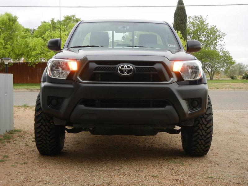 Taco 2.jpg