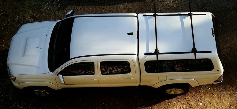 Taco (2).jpg