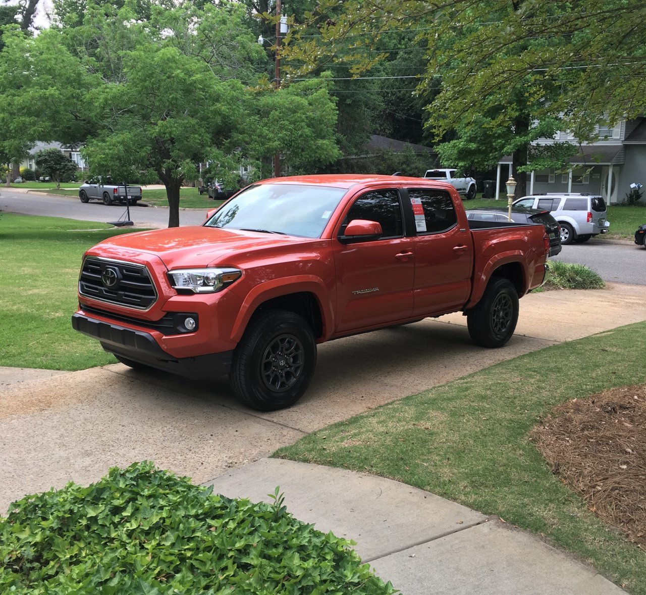taco (2).jpg