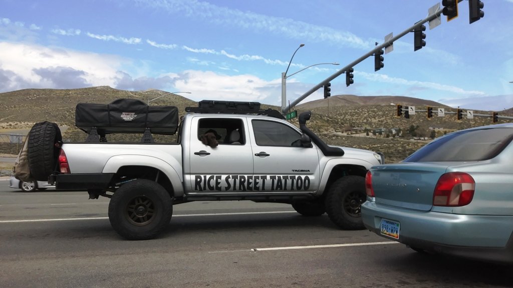 Taco-2.jpg