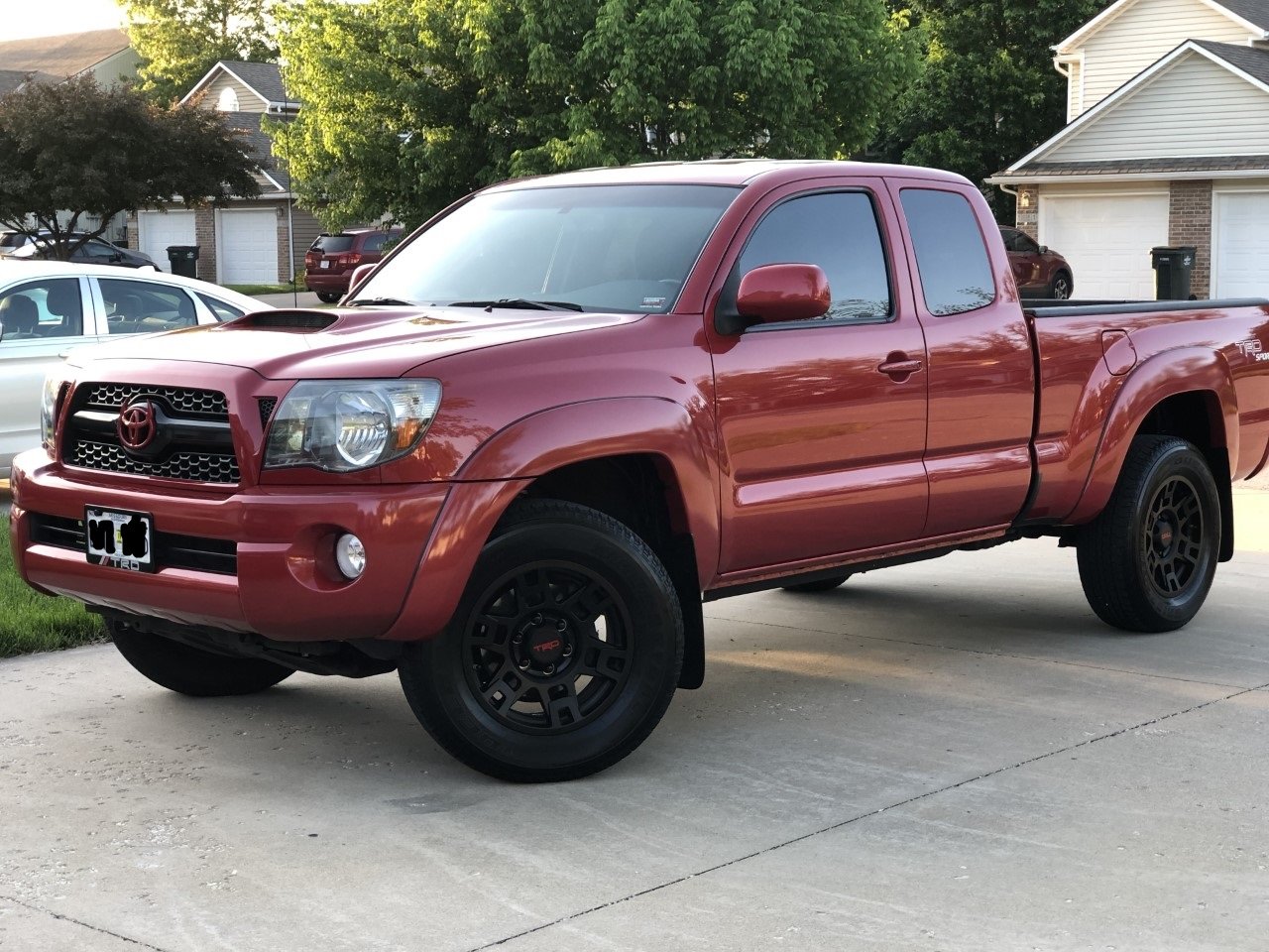 Taco 2.jpg