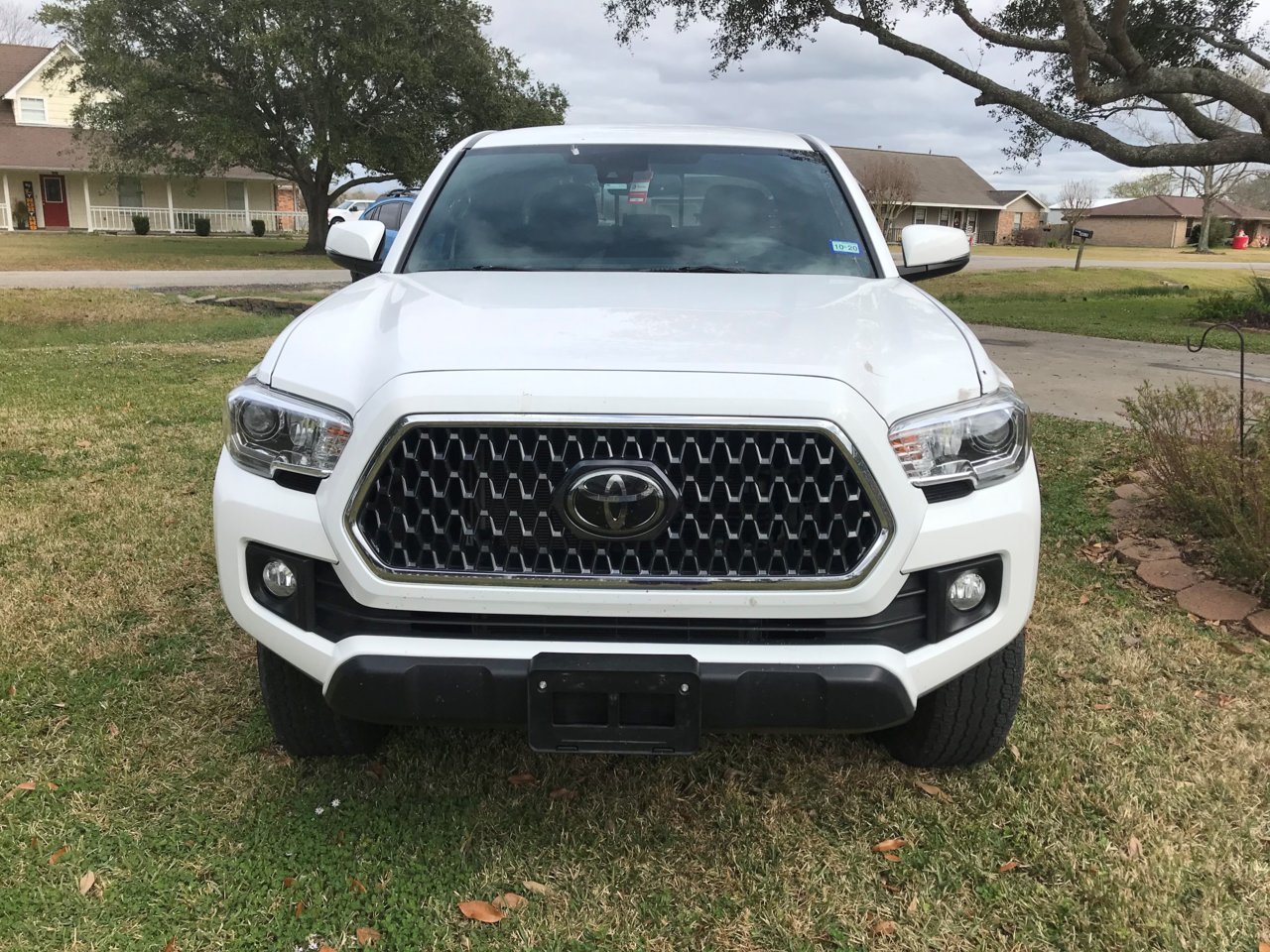Taco 2.jpg