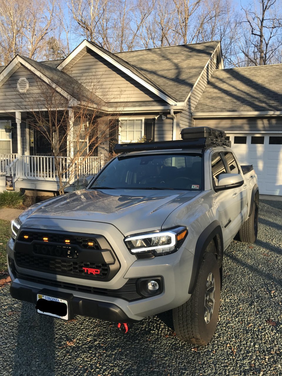 Taco (2).jpg