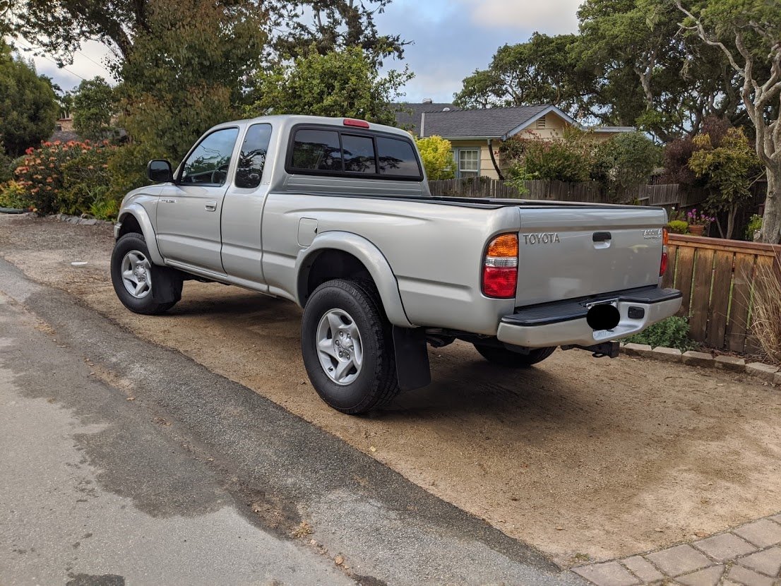 Taco (2).jpg