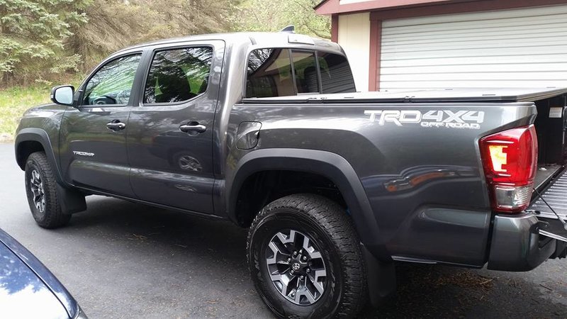 Taco 2.jpg