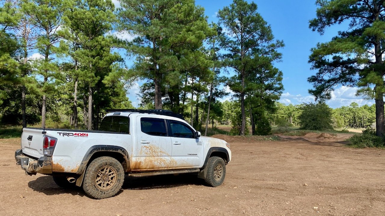 Taco - 2 of 8.jpg