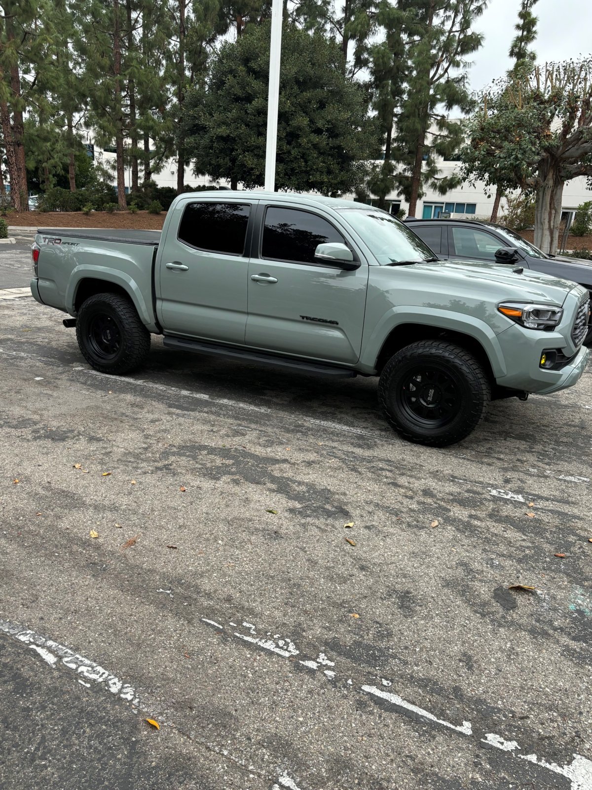Taco 2023_3.jpg