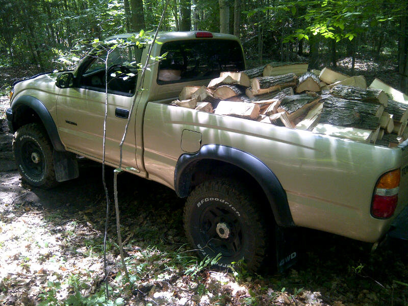 taco%20firewood_zps3jca8phz_5ac155f96a8d9b4e9a255f34f6f8b1d1930f986e.jpg
