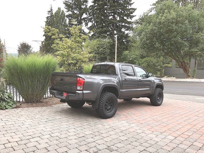 taco%20truck%204_9fd81eb1259bc030a63d008ddfba42a6744a44c6.jpg